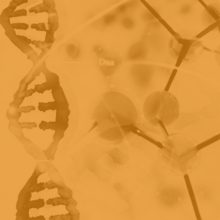 WEB - HEALTHCARE - Adj TEST O